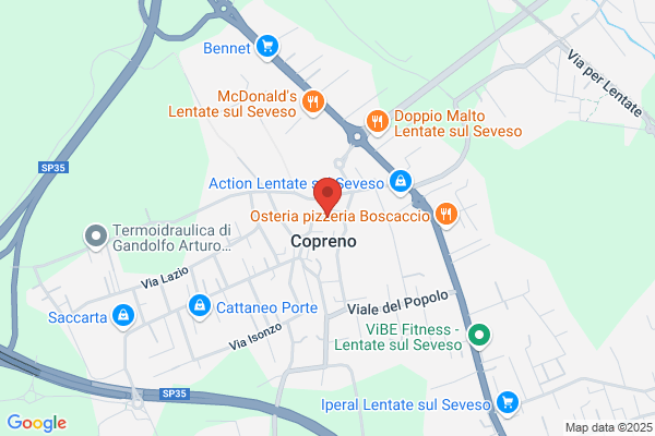 Il Cursore Di Negri Giancarlo