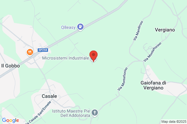 Microsistemi Srl