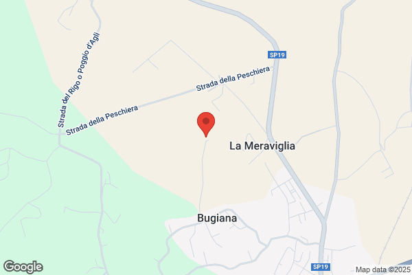 Maraviglia Srl