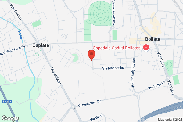 Oppedisano virginia