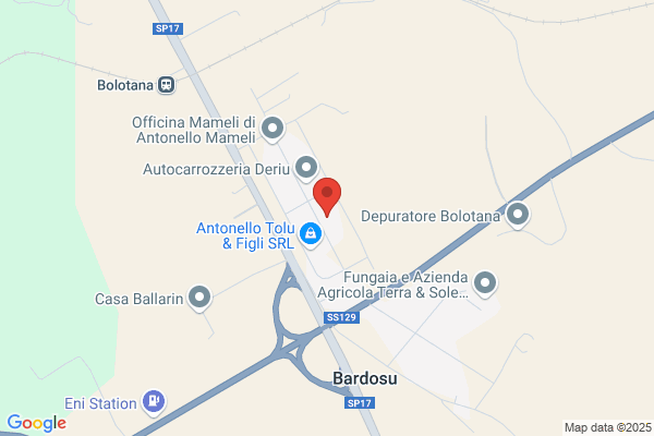 Max Viaggi e Servizi