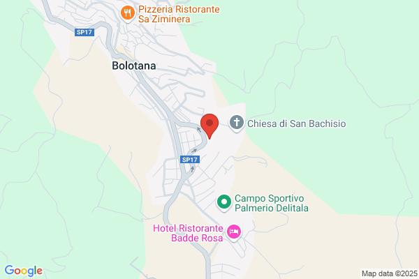 Saba omero Bachisio (Geom.)