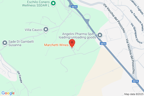 Marchetti aquilino