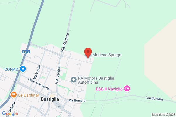 Modena Spurgo