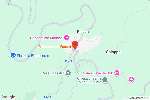 Pizzeria da Fausto Trattoria