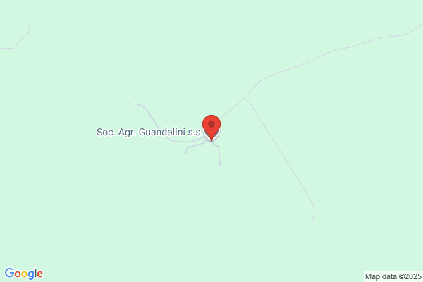 Guandalini Marco