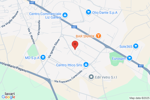 Elettro Servizi Srl