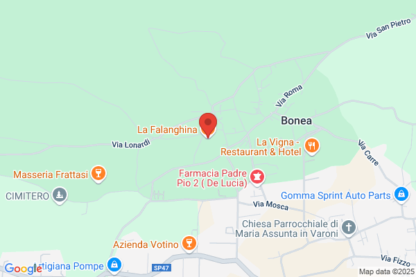 Ristorante La Falanghina Di Conte Filomena
