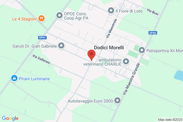 Mottola Carmela