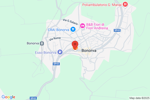 Solinas francesco