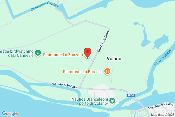 La Zanzara Di Mergiotti Cesira
