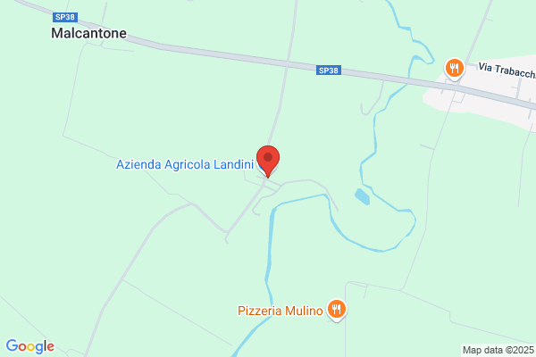 Landini Tour Di Landini Giuseppe E C. (S.A.S.)