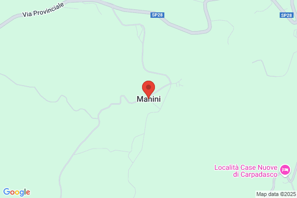 Palvesi E Manini