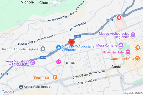 Istituto Italiano Di Previdenza Spa