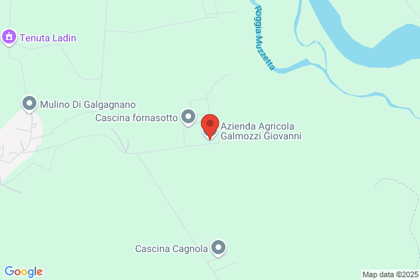 Galmozzi Gianfranco