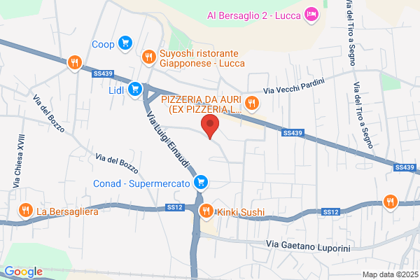 Gestione Esercizio Acquedotti Lucchesi Spa