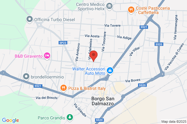 Cuneo Lung Cancer Study Group