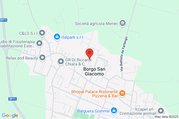 Sanzogni giancarlo