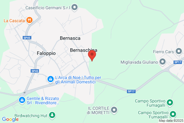 Mazzucchi Mario S.A.S.