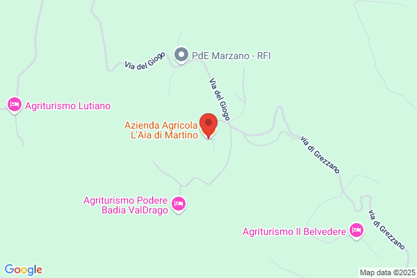 Mimosa Di Pieri Annamria