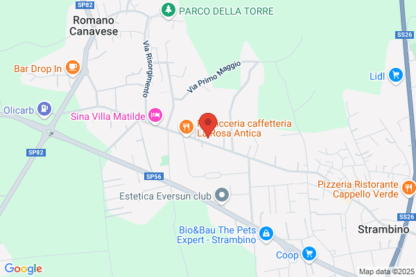Assel Di Nardini Giuliano