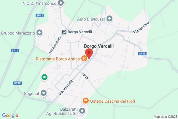 Vigone alessandro (Geom.)