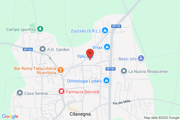 Dpiù Supermercato Cilavegna