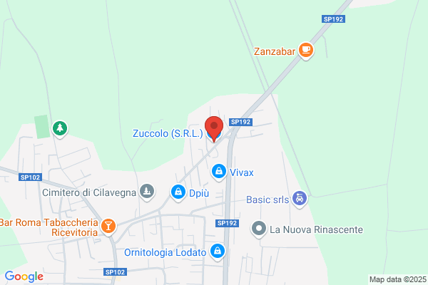 Zuccolo