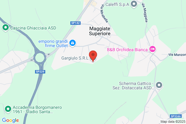 Gargiulo     Pasquale