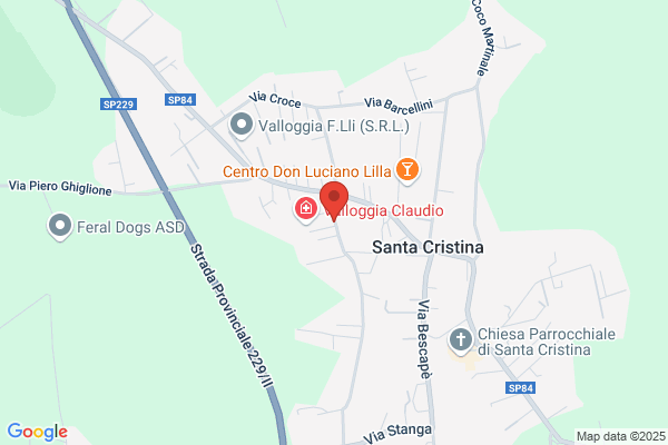 Medina angelo (Gr.Uff.)