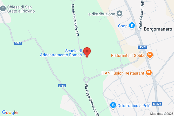 Pensione e  Allevamento Roman