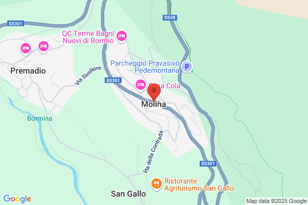 Molina daniele