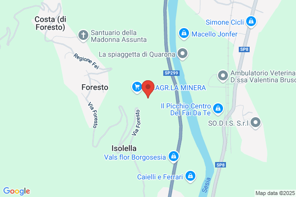 Guglielminetti Enrica
