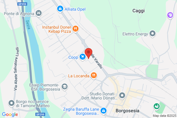 Mangolini claudio