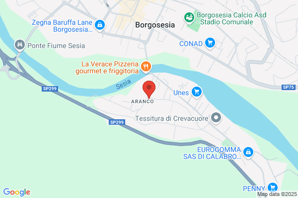 Guardia Di Finanza