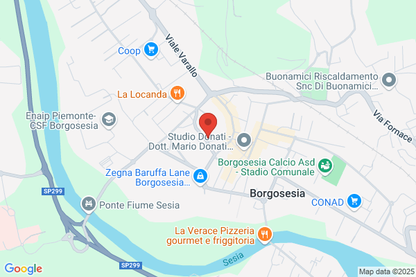 Partito Democratico Della Sinistra