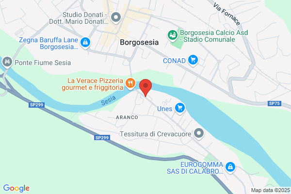Tecnosesia Di Dr.Cavagnino U.Dr.Pascariello R. Dr. Tamone f.