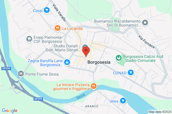 Sirugo concetta (Rag.)