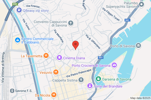Istituto Figlie Di N.S. Di Misericordia