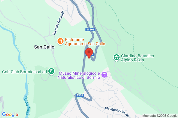 Floriabormio