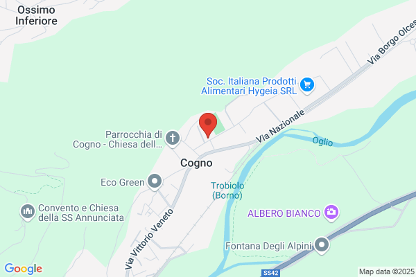 Francesetti Remigio E C. (S.N.C.)