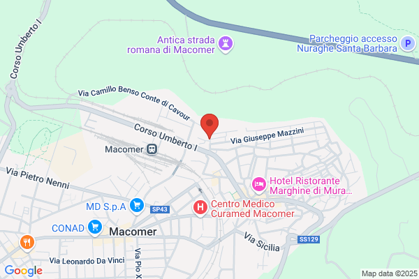 Manchia gianfilippo (Geom.)