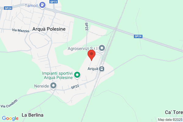 Polesine Plastix S.R.L.