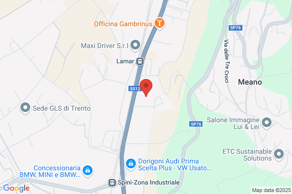 T.E.E. Trasporti Europei Espressi anna