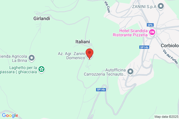 Zanini giorgio