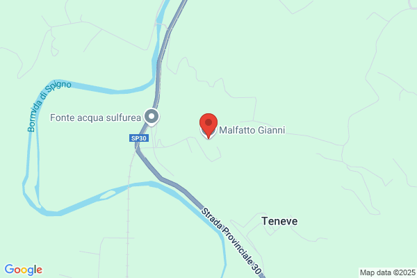 Falletti Salvatore