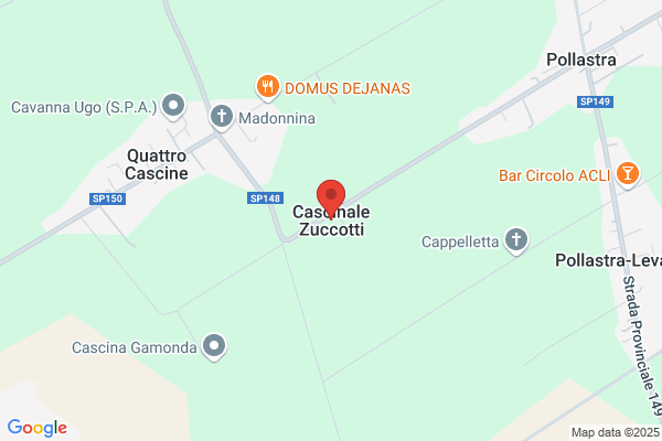 Zuccotti Meneguzzi dina