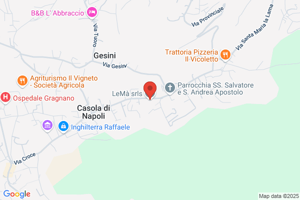Lema Di Mancuso Manuela & C. S.A.S.