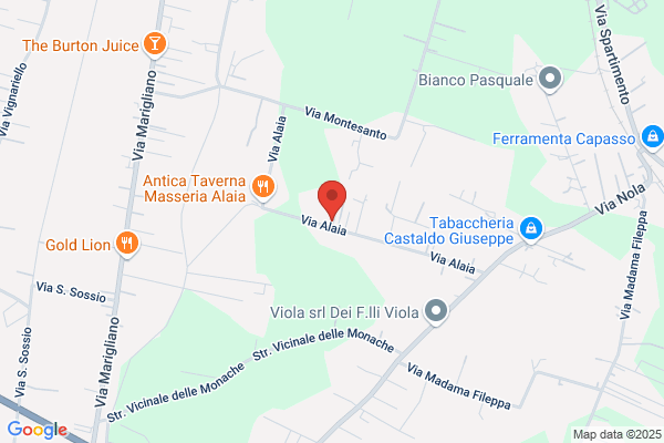 Globas Sas Di Basso Domenico