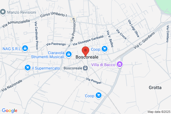 Vitiello nicola